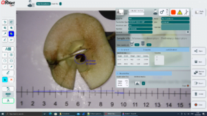 ORNet Editor 2.0 Analysis Image